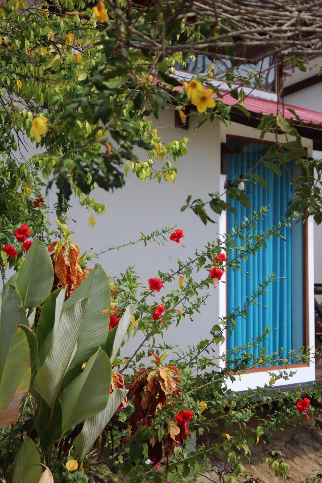 Hacienda Don Vicente Bungalows-tarapoto 2*